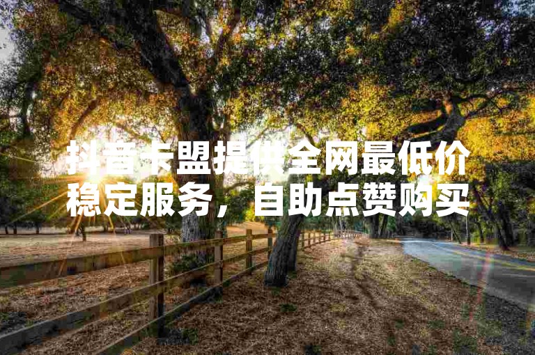 抖音卡盟提供全网最低价稳定服务，自助点赞购买平台。