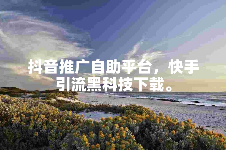 抖音推广自助平台，快手引流黑科技下载。