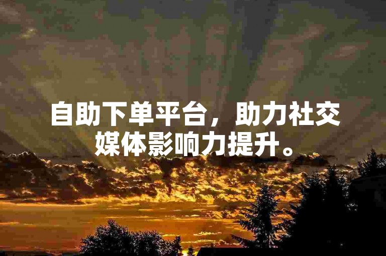 自助下单平台，助力社交媒体影响力提升。