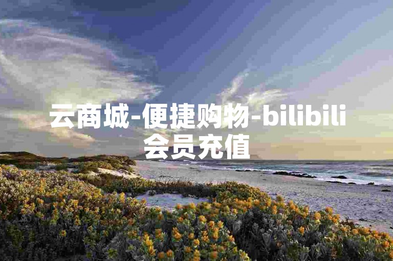 云商城-便捷购物-bilibili会员充值