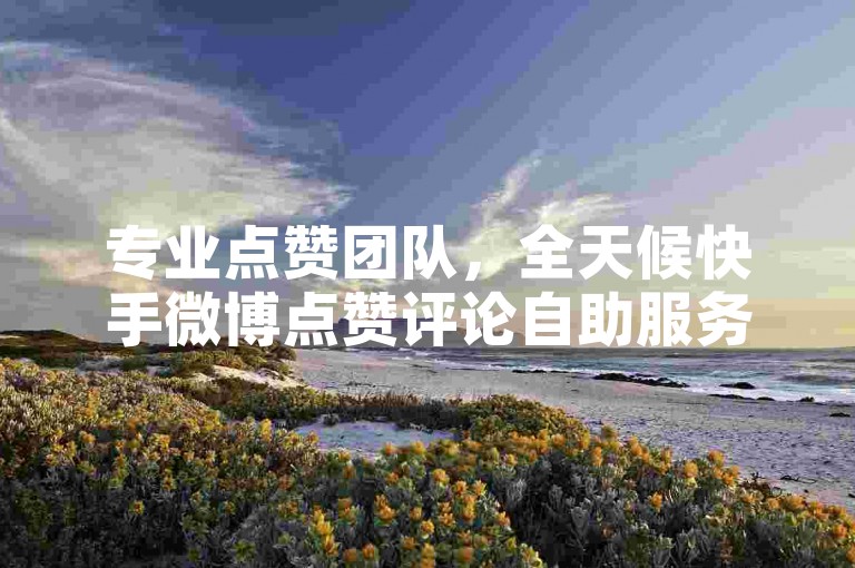 专业点赞团队，全天候快手微博点赞评论自助服务。