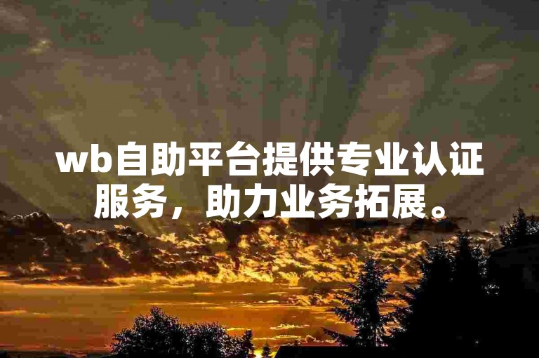 wb自助平台提供专业认证服务，助力业务拓展。