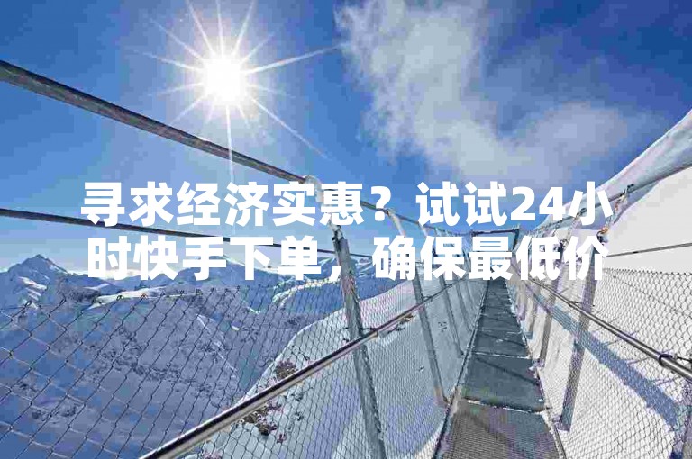 寻求经济实惠？试试24小时快手下单，确保最低价！