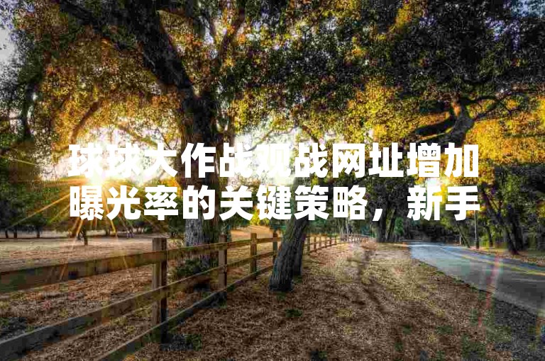 球球大作战观战网址增加曝光率的关键策略，新手必知！