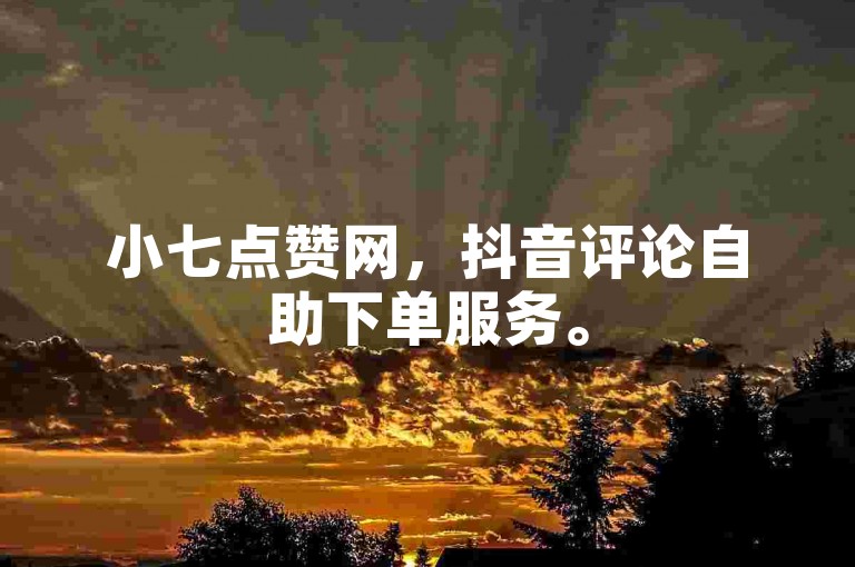 小七点赞网，抖音评论自助下单服务。
