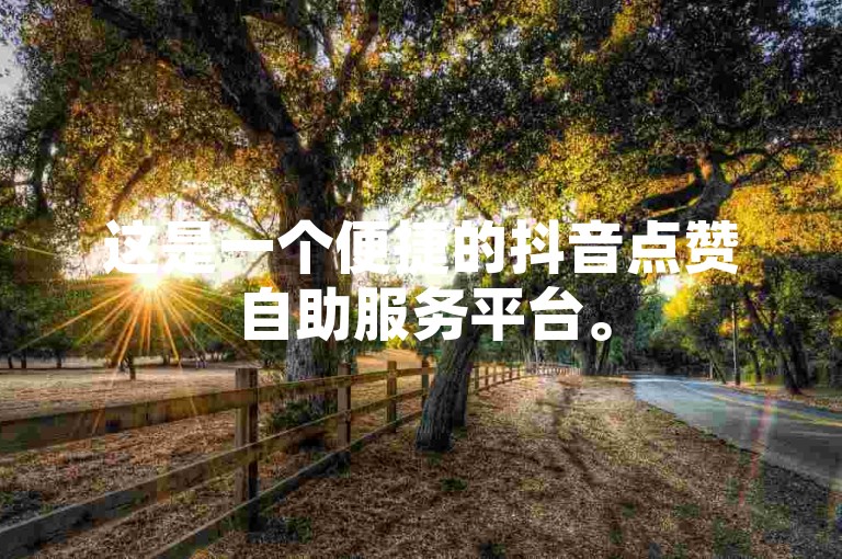 这是一个便捷的抖音点赞自助服务平台。