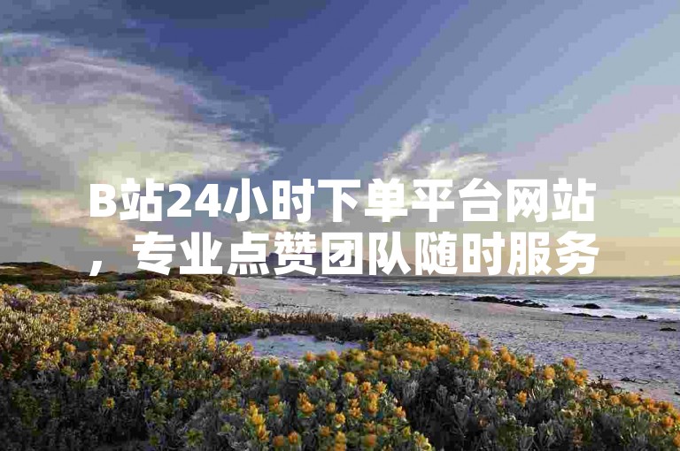 B站24小时下单平台网站，专业点赞团队随时服务。
