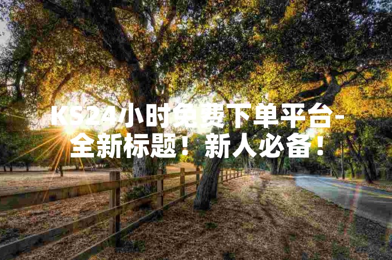 KS24小时免费下单平台-全新标题！新人必备！