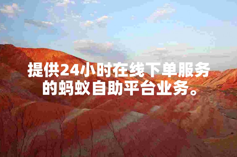 提供24小时在线下单服务的蚂蚁自助平台业务。