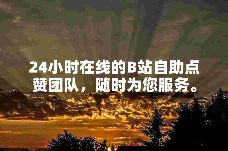 24小时在线的B站自助点赞团队，随时为您服务。