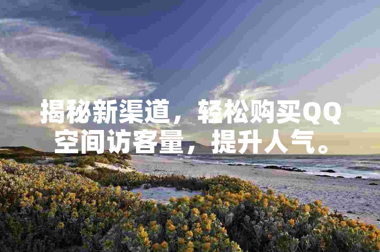揭秘新渠道，轻松购买QQ空间访客量，提升人气。