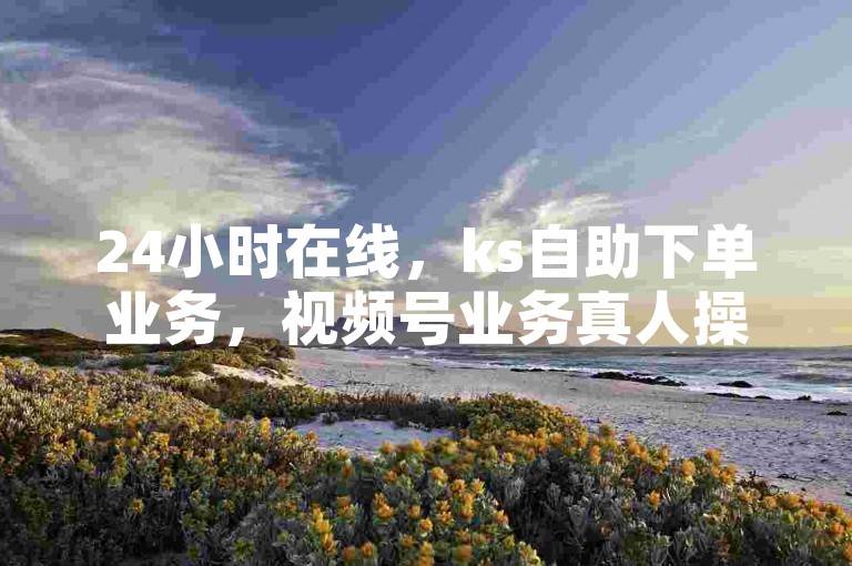 24小时在线，ks自助下单业务，视频号业务真人操作。
