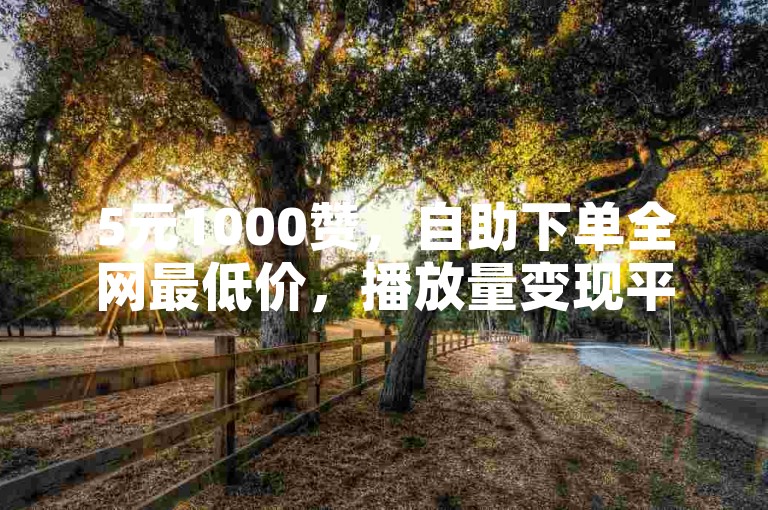 5元1000赞，自助下单全网最低价，播放量变现平台推荐。