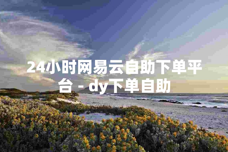 24小时网易云自助下单平台 - dy下单自助