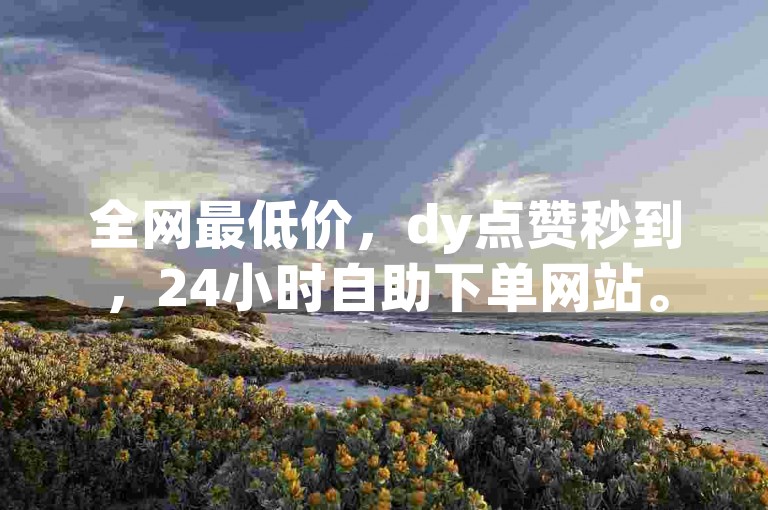 全网最低价，dy点赞秒到，24小时自助下单网站。