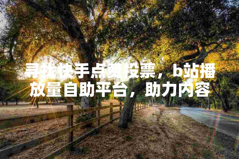 寻找快手点赞投票，b站播放量自助平台，助力内容上热门。