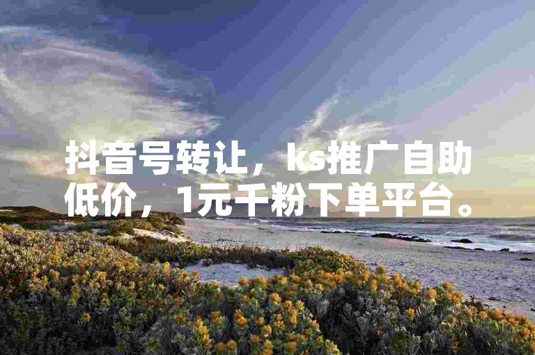 抖音号转让，ks推广自助低价，1元千粉下单平台。