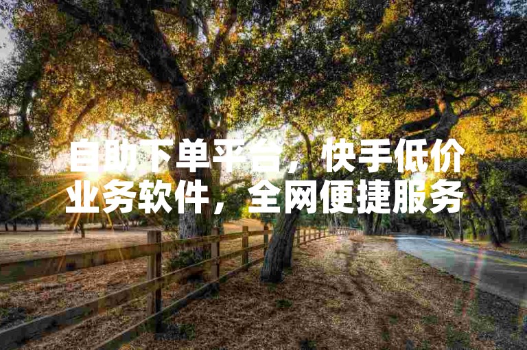 自助下单平台，快手低价业务软件，全网便捷服务。