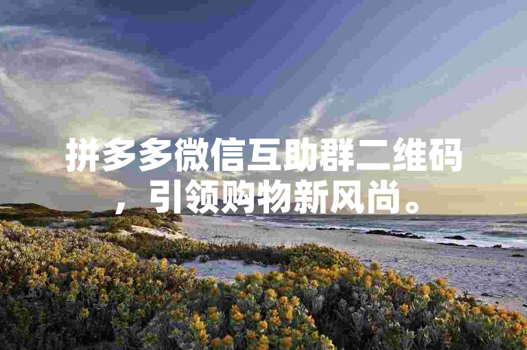 拼多多微信互助群二维码，引领购物新风尚。