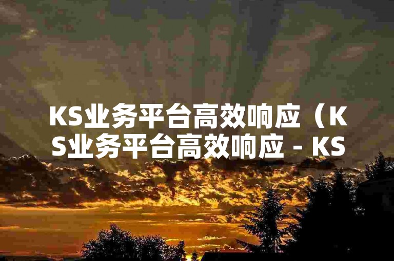 KS业务平台高效响应（KS业务平台高效响应 - KS业务平台快速处理）