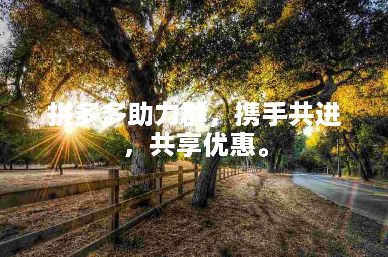 拼多多助力群，携手共进，共享优惠。