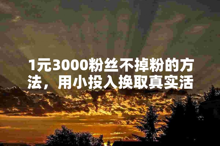 1元3000粉丝不掉粉的方法，用小投入换取真实活跃的粉丝群体。