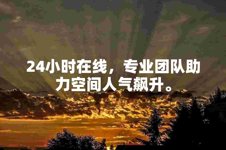 24小时在线，专业团队助力空间人气飙升。