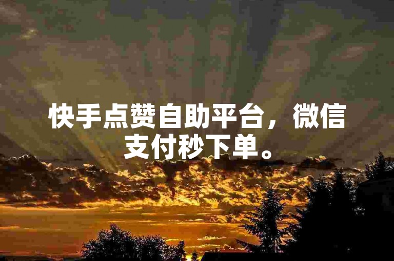快手点赞自助平台，微信支付秒下单。
