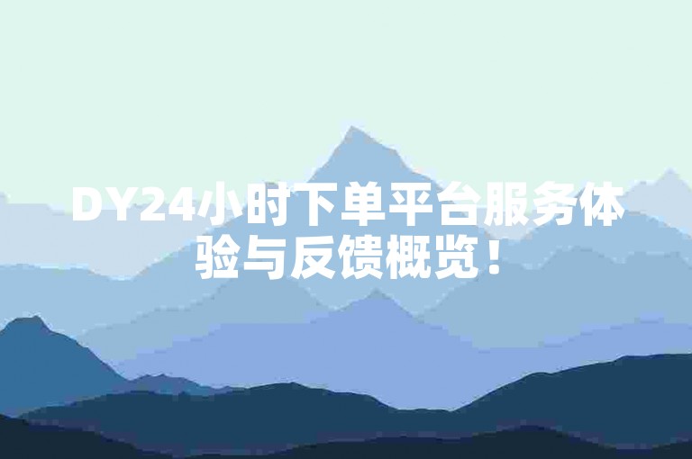 DY24小时下单平台服务体验与反馈概览！