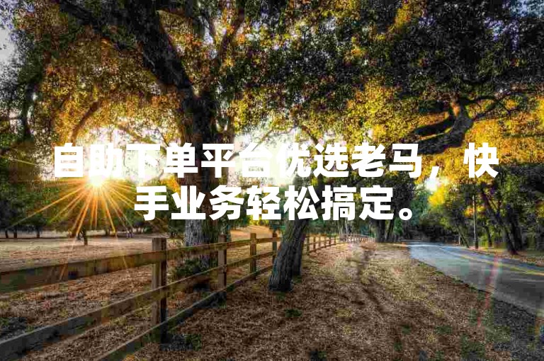 自助下单平台优选老马，快手业务轻松搞定。