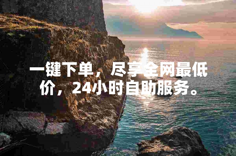一键下单，尽享全网最低价，24小时自助服务。