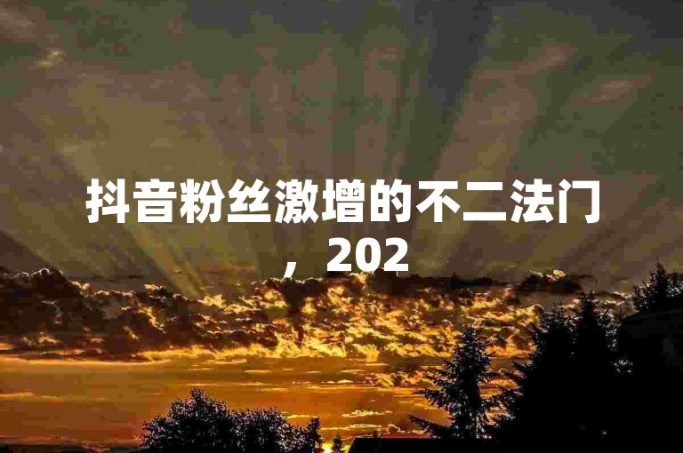 抖音粉丝激增的不二法门，2025年必备技巧大公开！
