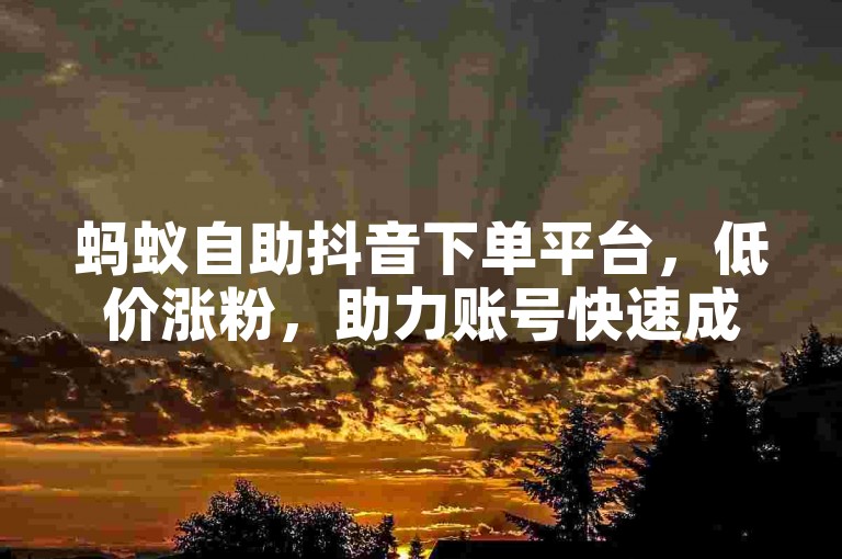 蚂蚁自助抖音下单平台，低价涨粉，助力账号快速成长。