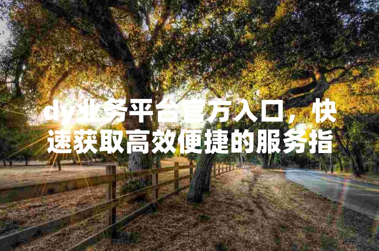 dy业务平台官方入口，快速获取高效便捷的服务指南。