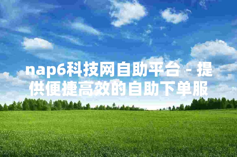 nap6科技网自助平台 - 提供便捷高效的自助下单服务。