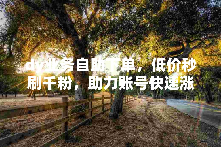 dy业务自助下单，低价秒刷千粉，助力账号快速涨粉。