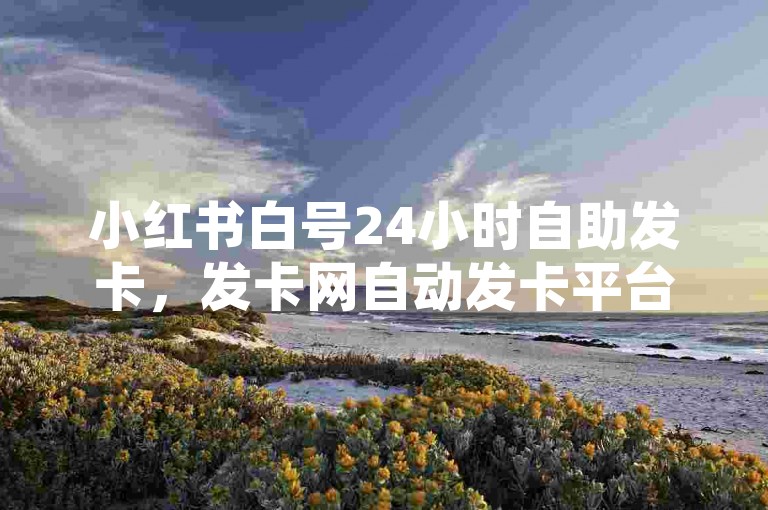 小红书白号24小时自助发卡，发卡网自动发卡平台。