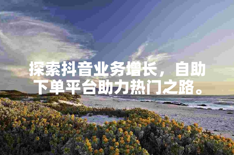 探索抖音业务增长，自助下单平台助力热门之路。