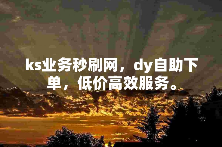 ks业务秒刷网，dy自助下单，低价高效服务。