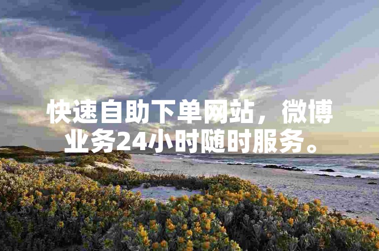 快速自助下单网站，微博业务24小时随时服务。