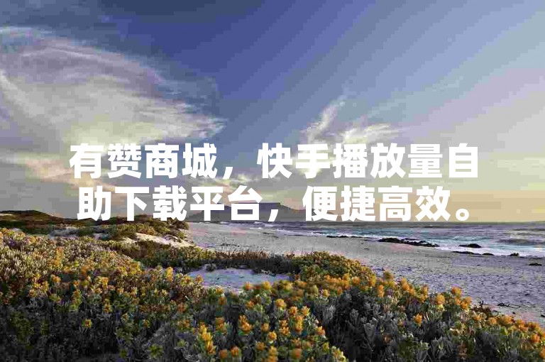 有赞商城，快手播放量自助下载平台，便捷高效。