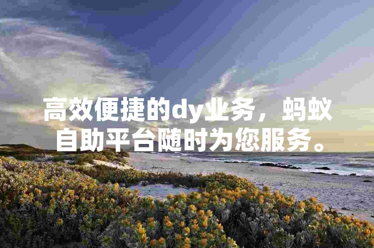 高效便捷的dy业务，蚂蚁自助平台随时为您服务。
