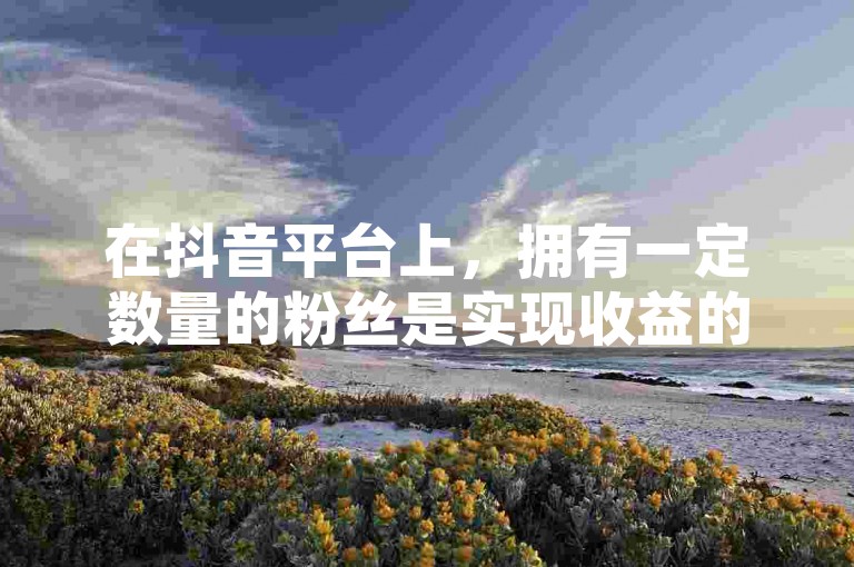在抖音平台上，拥有一定数量的粉丝是实现收益的基础条件之一。