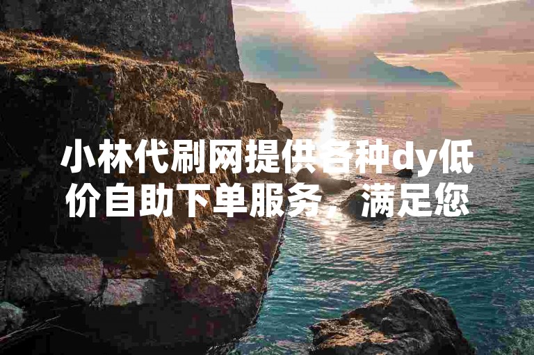 小林代刷网提供各种dy低价自助下单服务，满足您的在线刷业务需求。