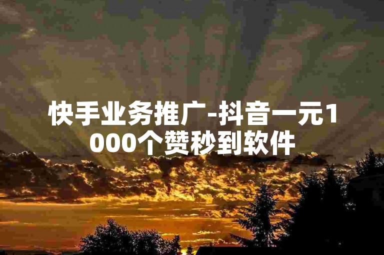 快手业务推广-抖音一元1000个赞秒到软件