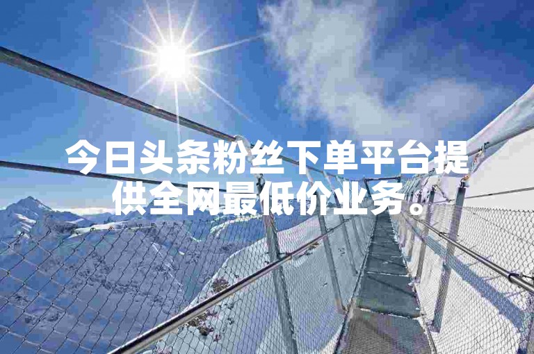今日头条粉丝下单平台提供全网最低价业务。