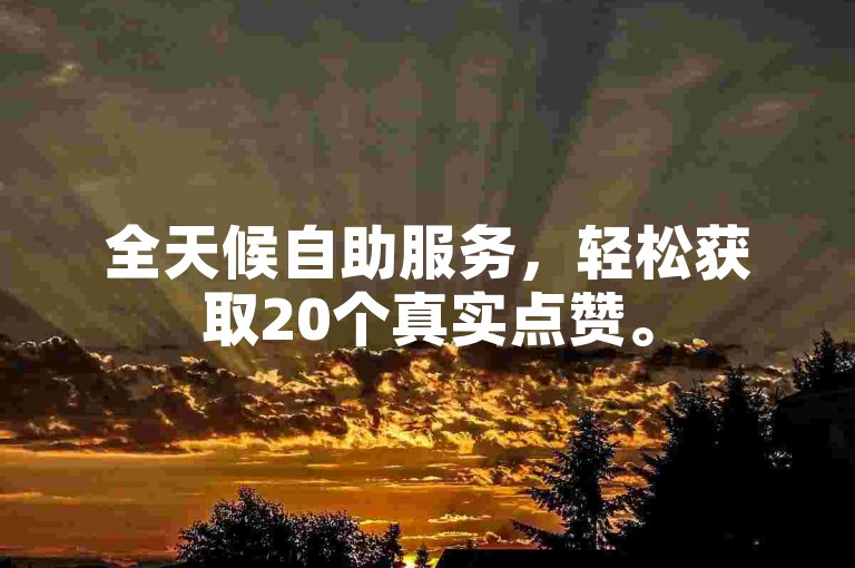 全天候自助服务，轻松获取20个真实点赞。