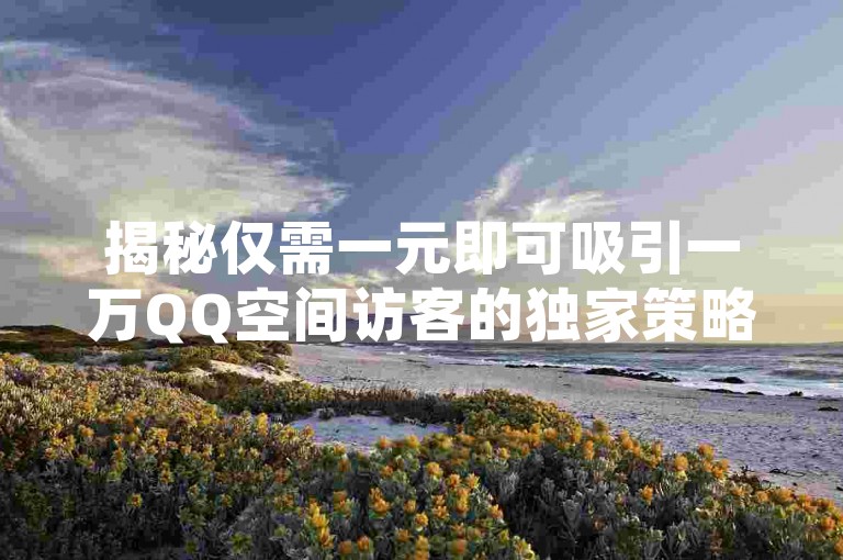 揭秘仅需一元即可吸引一万QQ空间访客的独家策略。
