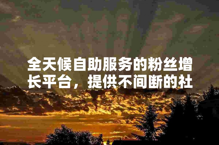 全天候自助服务的粉丝增长平台，提供不间断的社交业务支持。