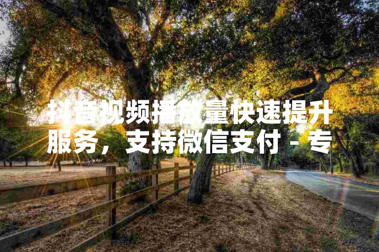 抖音视频播放量快速提升服务，支持微信支付 - 专业点赞平台。